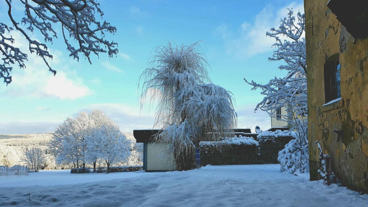 Jagdschloss Hotel Niederwald Rüdesheim am Rhein Dış mekan fotoğraf